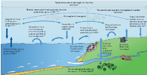515.jpg 515.jpg