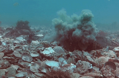 截屏2022-11-10 14.21.48_500x331.png 截屏2022-11-10 14.21.48_500x331.png