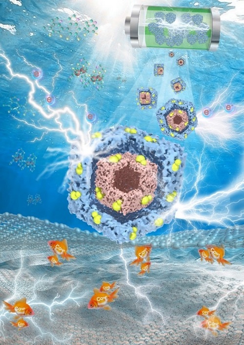 图片1.jpg 图片1.jpg