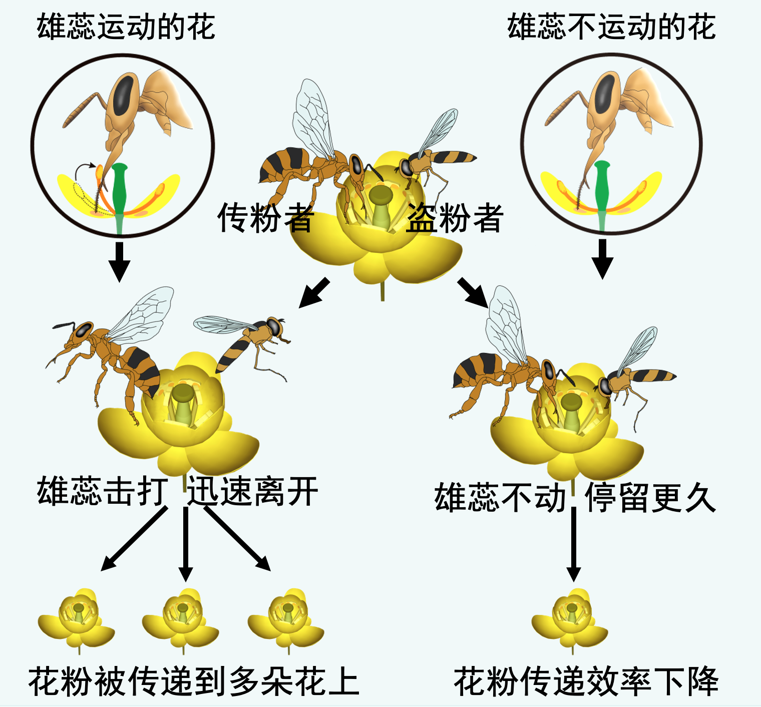 截屏2022-10-15 下午12.29.17.png 截屏2022-10-15 下午12.29.17.png