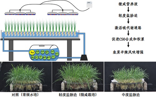 微信图片_20221111150929.jpg 微信图片_20221111150929.jpg