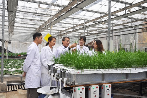 微信图片_20221111150938.jpg 微信图片_20221111150938.jpg