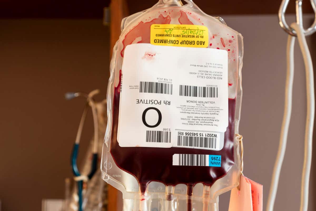 New Scientist Default Image